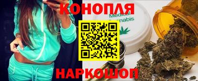 spice Кингисепп