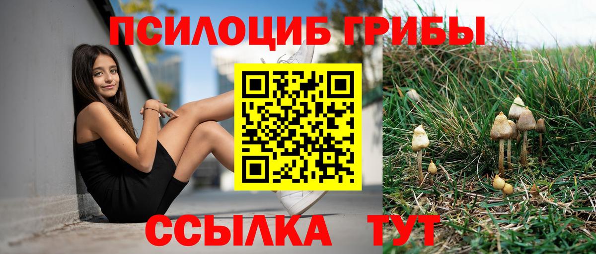 Галлюциногенные грибы Cubensis  Вход с VPN  Конаково 